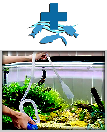 Абонентское обслуживание уход и чистка аквариумов в Москве на дому.