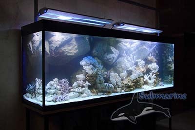 Подводная скала - аквариумного аква-дизайна, фото