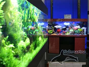 Продажа готовых пресноводных и псевдо море аквариумов Субмарина