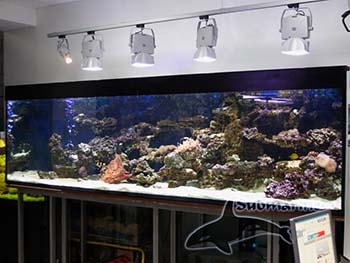 Декорация аквариума пресноводного со скалой фото Субмарина