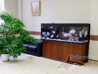 Установка аквариума в вашем вестибюле фото