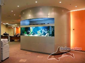 Большой аквариум в офисе, клиентской зоны фото
