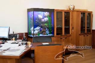 Размещение аквариума в кабинете фото