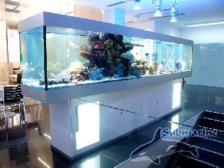 Большой аквариум в офисном помещении фото