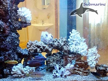 Коралловый риф аквариумной декорации фото