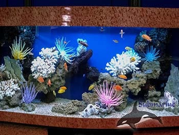 оформление аквариума заказать псевдоморе фото Субмарина