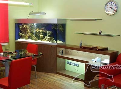 Разносторонний аквариум оформление Субмарина