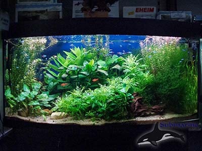 Живой аквариум для рыбок и Ростений Фото
