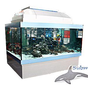 Контакты аквариумный салон адрес и телефоны «Субмарина»